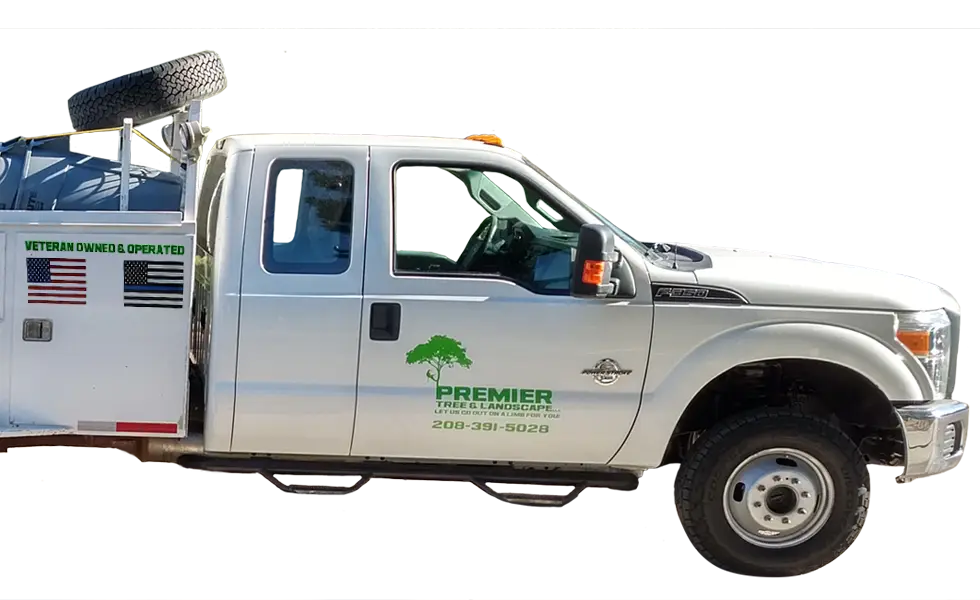 Premier Tree Pruning and Trimming locally owned and operated